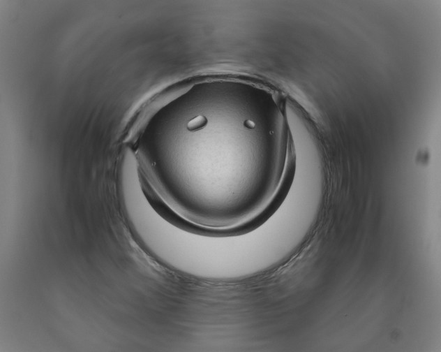 X0000091961356200709271337