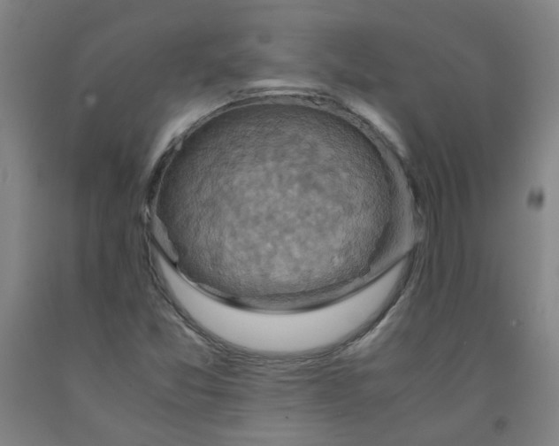 X0000091961357200709271337