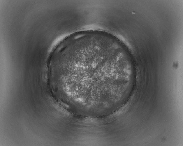 X0000091961358200709271337