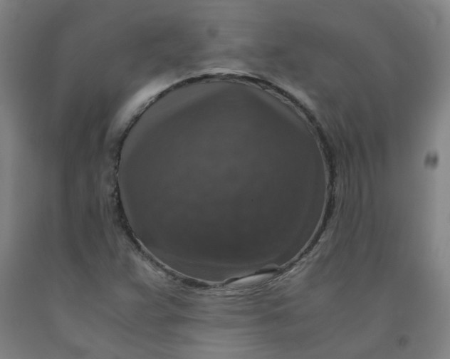 X0000091961359200709271337