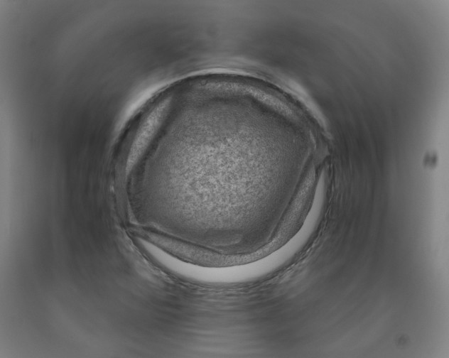 X0000091961360200709271337