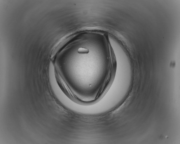 X0000091961361200709271337