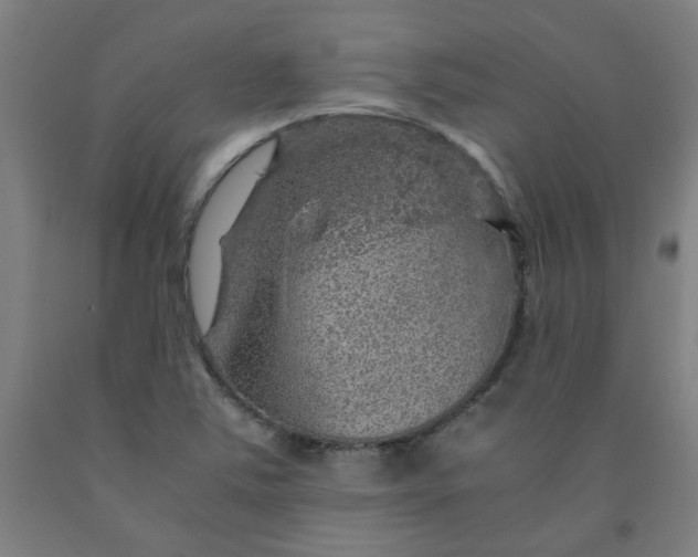 X0000091961363200709271337