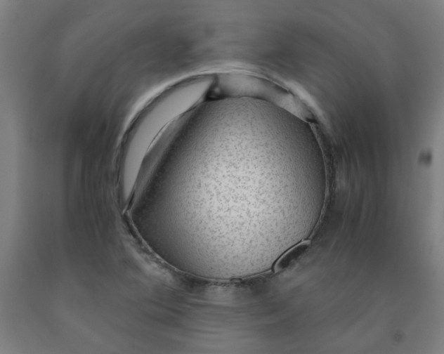 X0000091961364200709271337