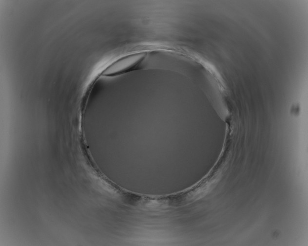 X0000091961365200709271337