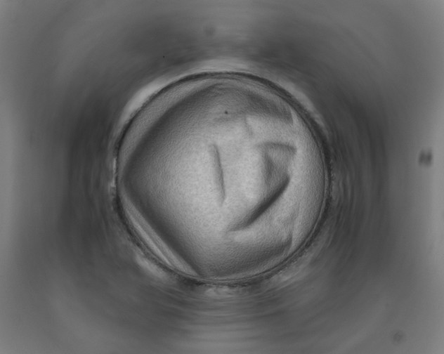 X0000091961366200709271337