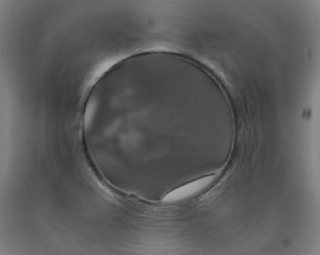 X0000091961367200709271337