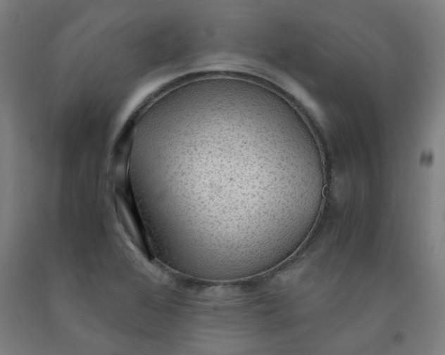 X0000091961368200709271337