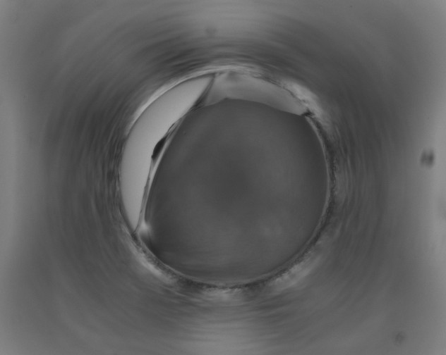 X0000091961369200709271337