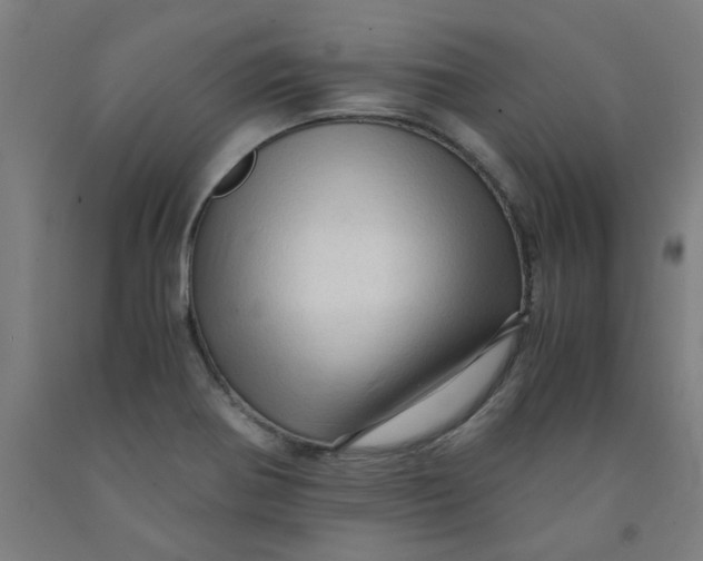 X0000091961370200709271337