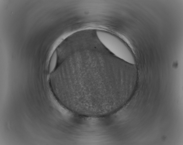 X0000091961371200709271337