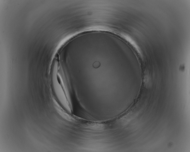 X0000091961372200709271337