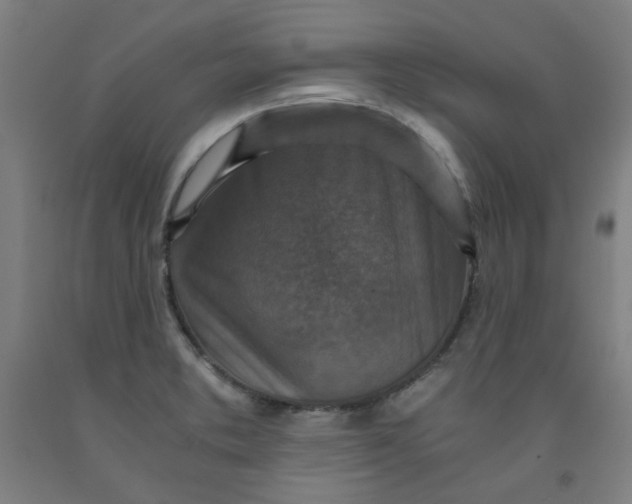 X0000091961373200709271337