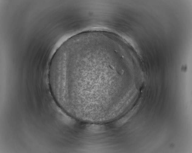 X0000091961374200709271337