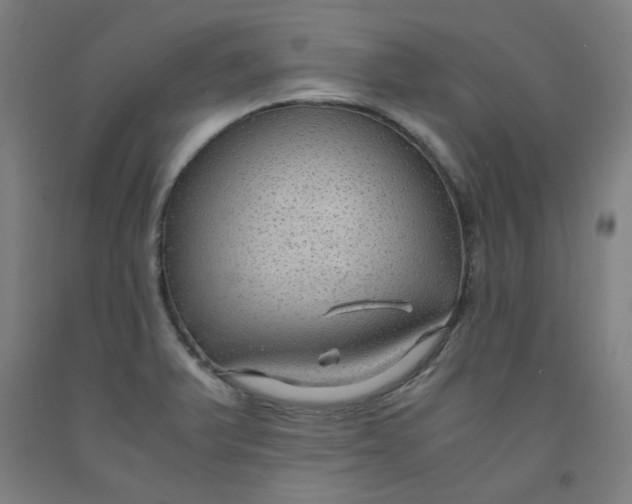 X0000091961375200709271337