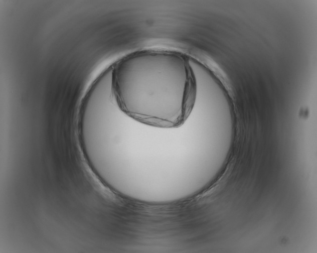 X0000091961376200709271337