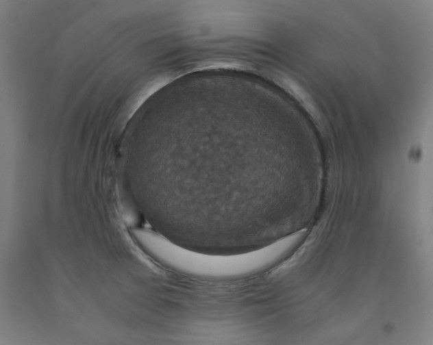 X0000091961377200709271337