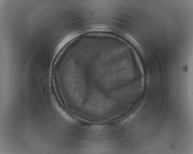 X0000091961378200709271337