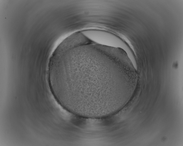 X0000091961379200709271337