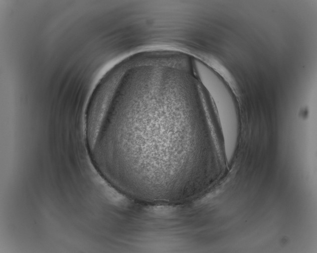 X0000091961380200709271337