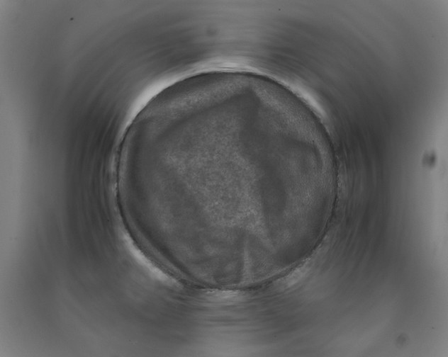 X0000091961382200709271337