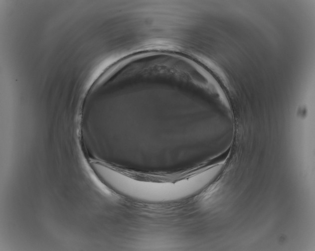 X0000091961383200709271337