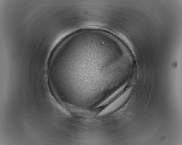 X0000091961384200709271337