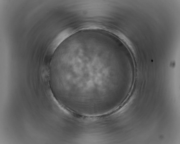 X0000091961385200709271337