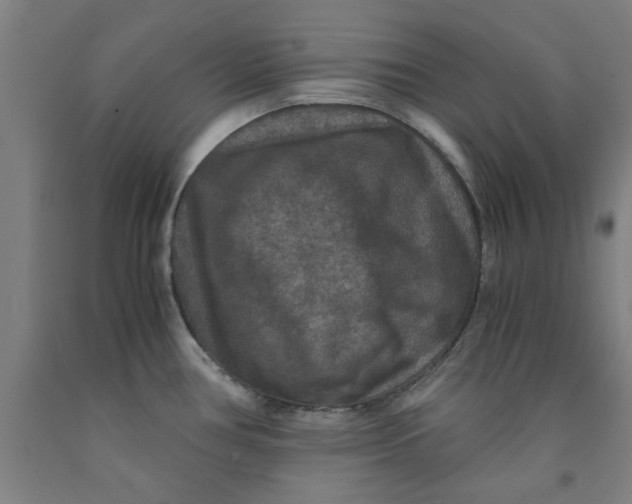 X0000091961386200709271337