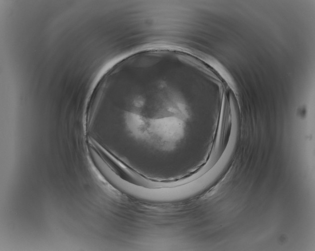 X0000091961388200709271337