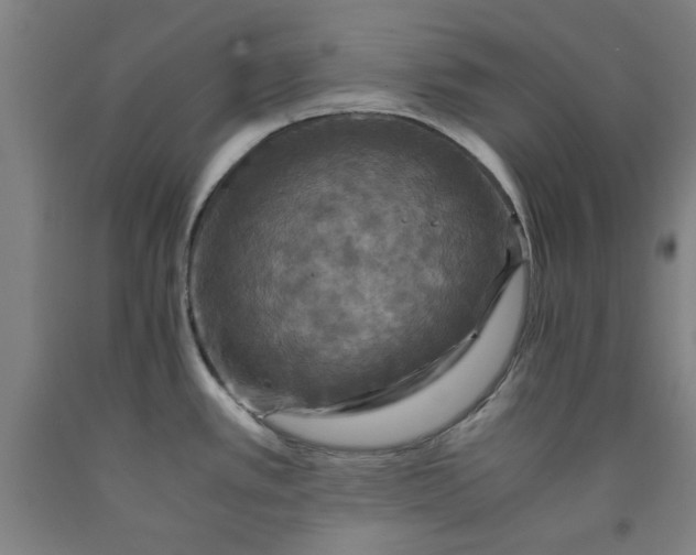 X0000091961389200709271337