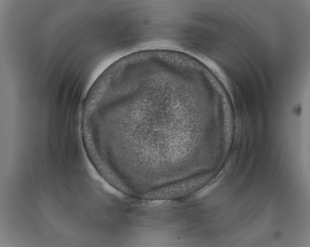 X0000091961390200709271337