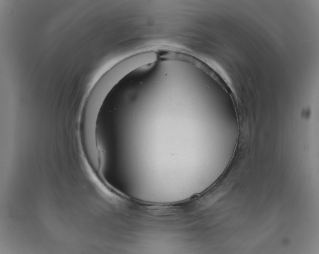 X0000091961391200709271337