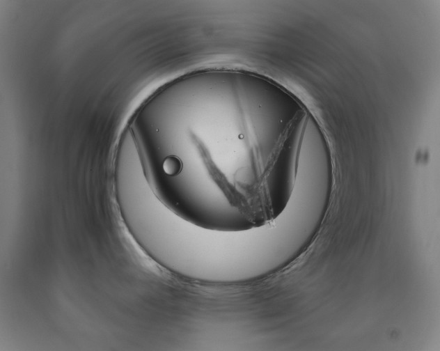 X0000091961392200709271337