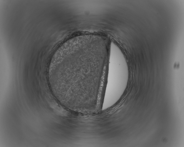 X0000091961393200709271336