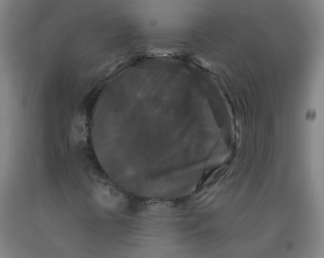 X0000091961394200709271336