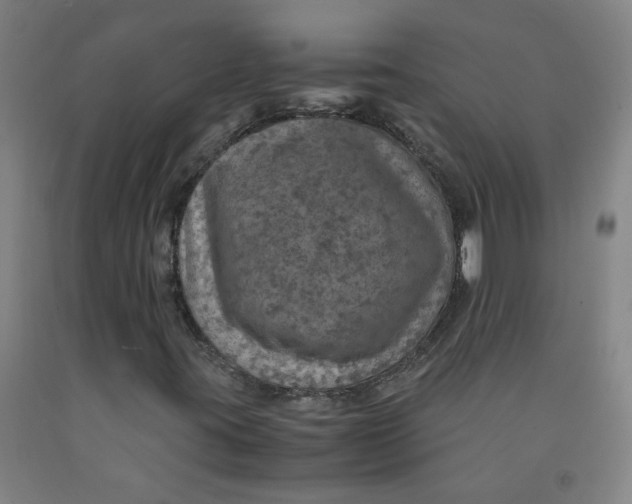 X0000091961395200709271336