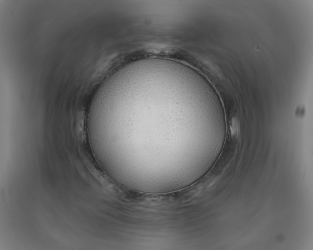 X0000091961396200709271336