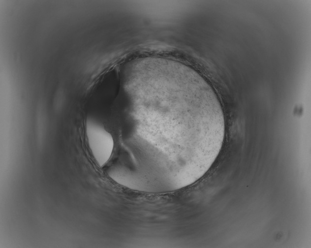 X0000091961397200709271336