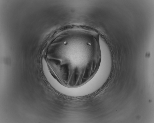 X0000091961398200709271336