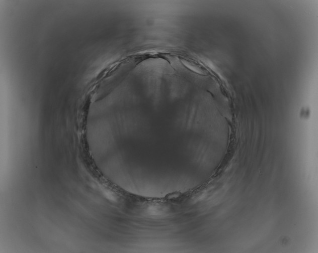 X0000091961399200709271336