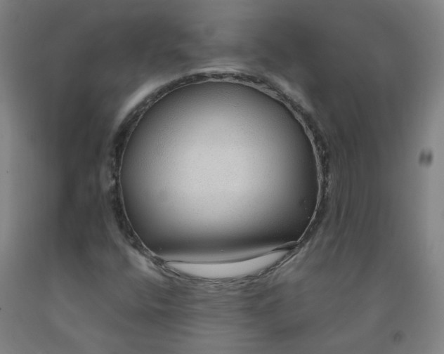 X0000091961400200709271337