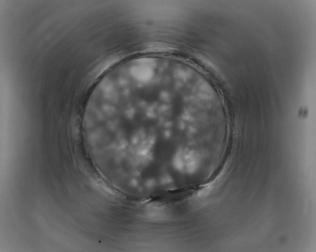 X0000091961401200709271337