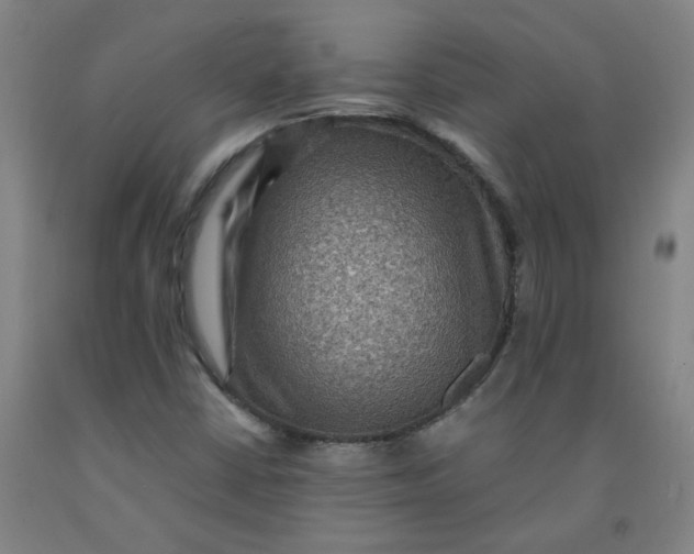 X0000091961402200709271337