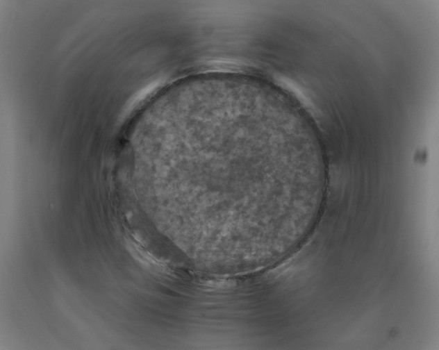 X0000091961403200709271337