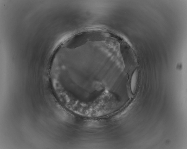 X0000091961405200709271337