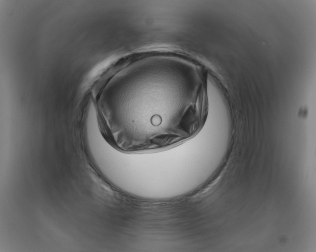 X0000091961406200709271337