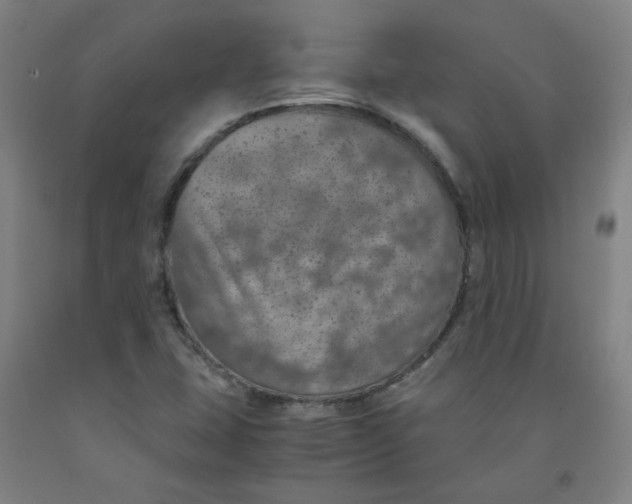 X0000091961407200709271337