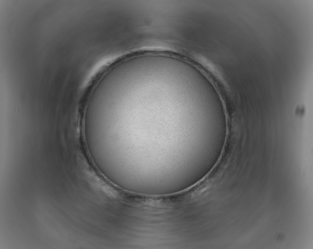 X0000091961408200709271337