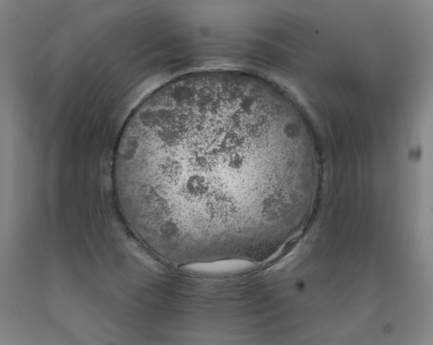 X0000091961409200709271337